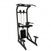   BRONZE GYM PARTNER ML-701  - V-SPORT   ARMSSPORT
