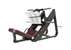 ��� ������ ��� ����� 45 �������� �� ��������� ����� Protrain BPL156 ���������������� �������� vasil-gym - V-SPORT ��������� ���� ARMSSPORT