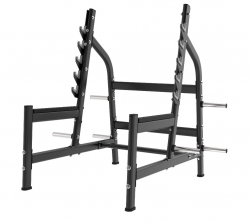      Protrain LFP131   swat - V-SPORT   ARMSSPORT
