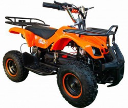  - V-SPORT   ARMSSPORT