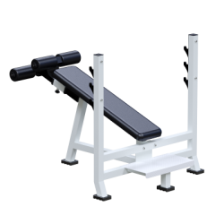 ���������������� ������� �������� ������ ��� ���� � �������� �������� Sabirgym SG013 - V-SPORT ��������� ���� ARMSSPORT