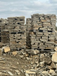 ��������� ������ ������ ���������� - V-SPORT ��������� ���� ARMSSPORT