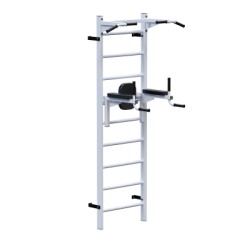 ������� �������� �������� ������ + ������ + ������ Sabirgym SGL072 - V-SPORT ��������� ���� ARMSSPORT